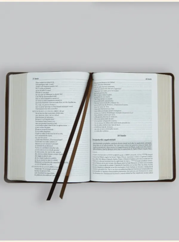 Coperta verso - Biblia zilnică în ordine cronologică – MARO