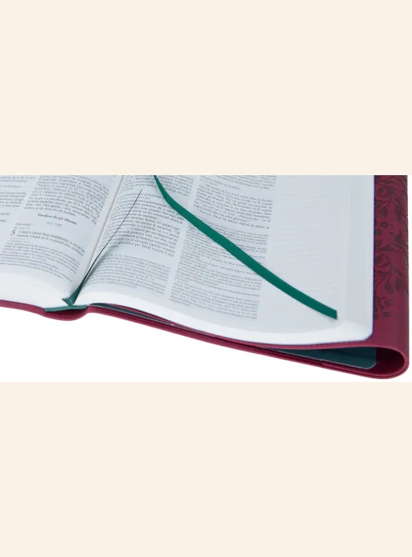 Coperta verso - Biblia Jurnal Artistic