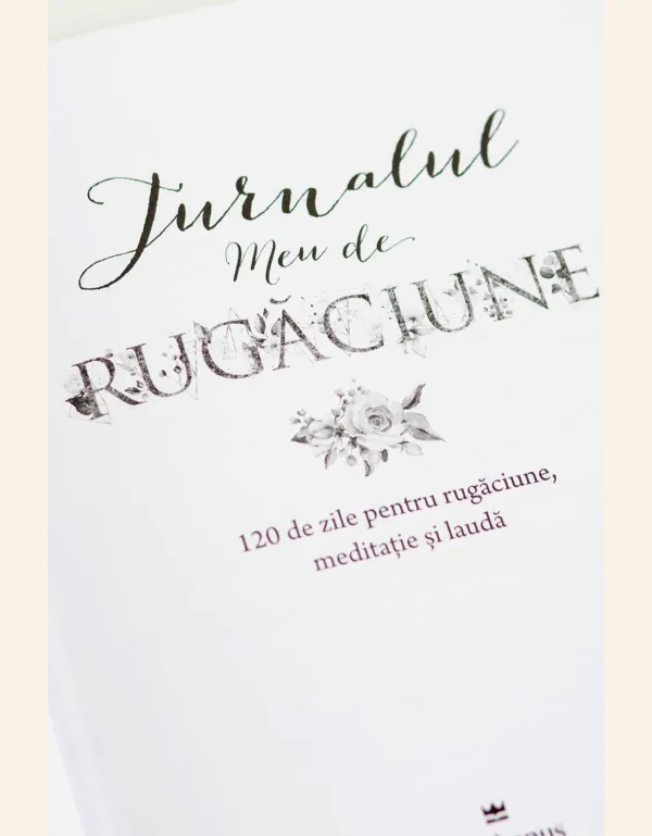 Coperta verso - Jurnalul meu de rugăciune: 120 de zile pentru rugăciune, meditație și laudă