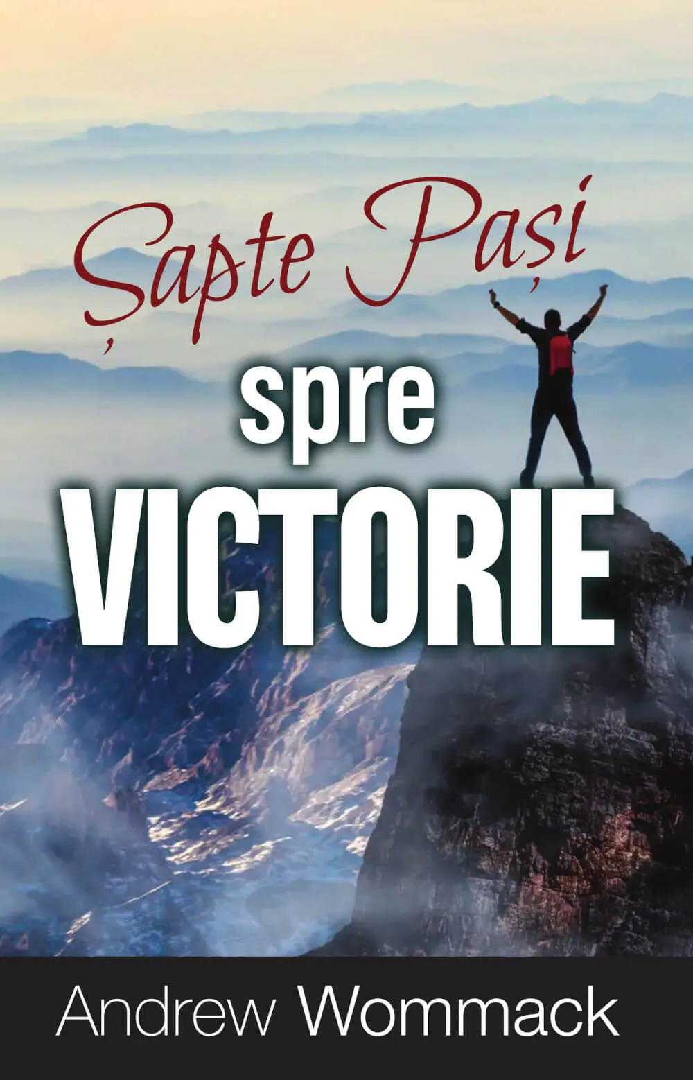 Șapte pași spre victorie