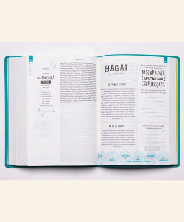 Coperta verso - Biblia interactivă – verde