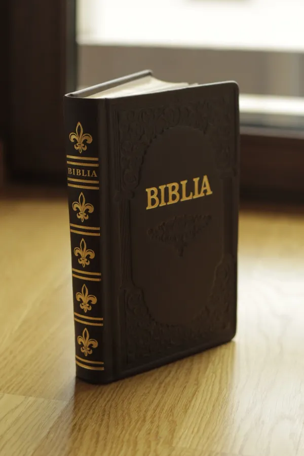 Biblie 073 HM aurie, coperta tare