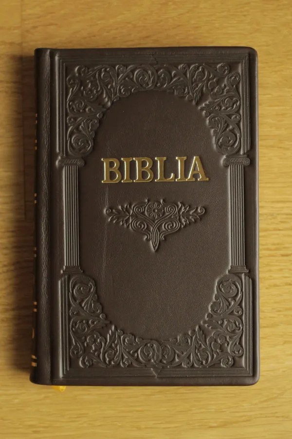 Coperta verso - Biblie 073 HM aurie, coperta tare