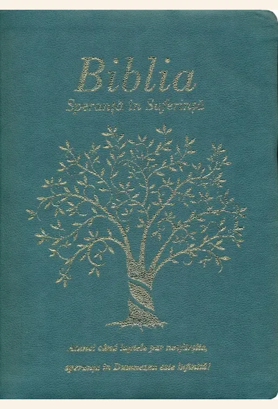 Biblia - Speranţă în suferinţă - copertă albastră