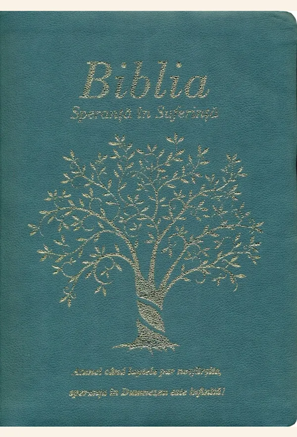 Biblia - Speranţă în suferinţă - copertă albastră