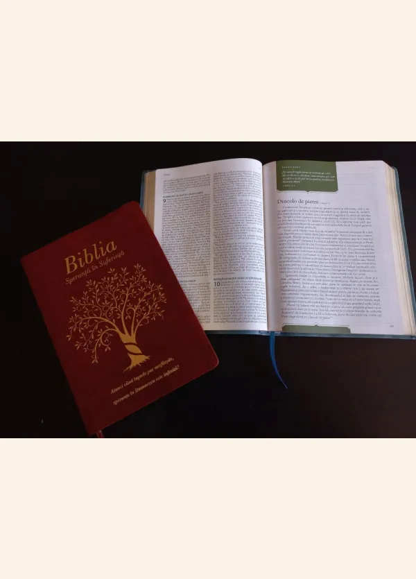 Coperta verso - Biblia - Speranţă în suferinţă - copertă maro