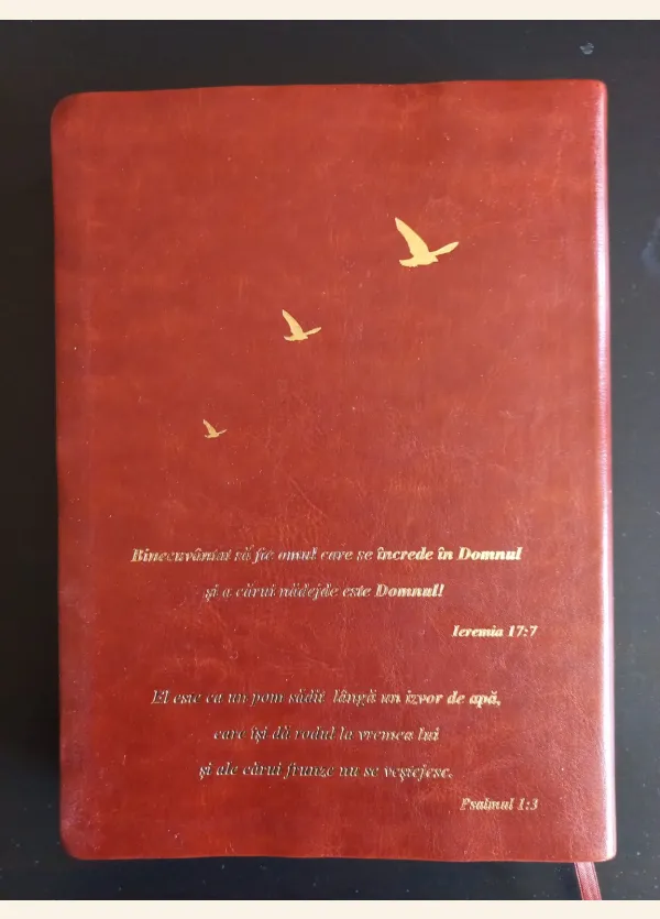 Coperta verso - Biblia - Speranţă în suferinţă - copertă maro