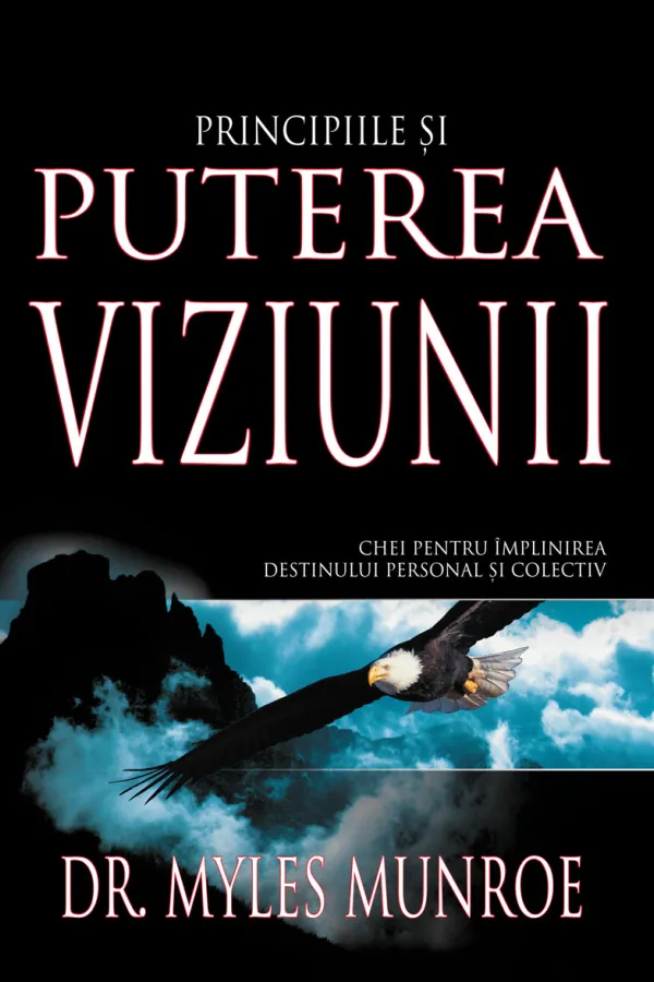Principiile și puterea viziunii