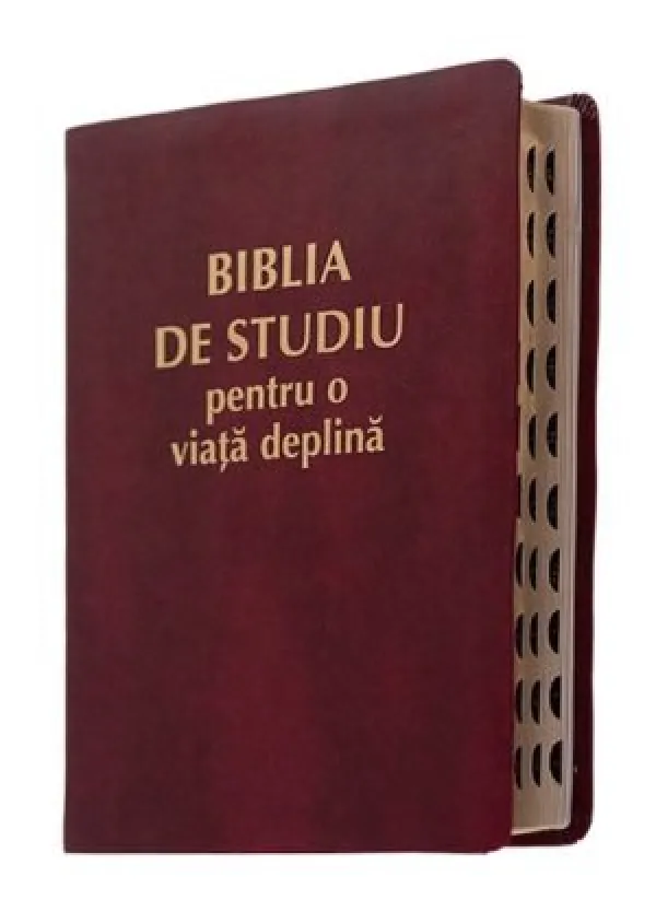 Biblia de studiu pentru o viata deplina visiniu TI