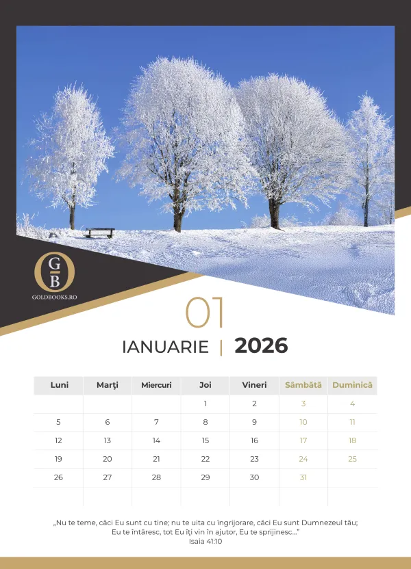 Coperta verso - Calendar A3 GoldBooks