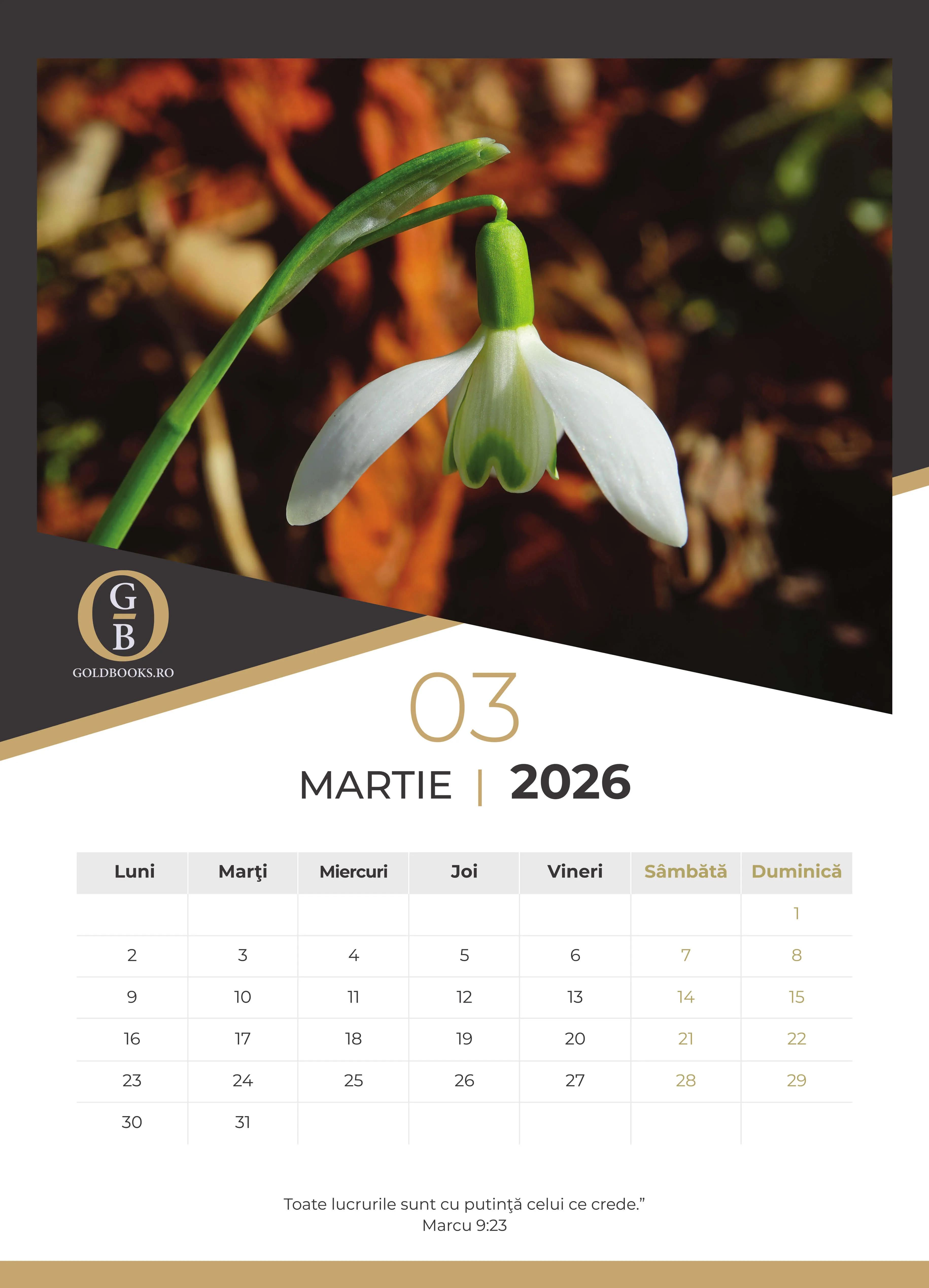 Calendar A3 GoldBooks