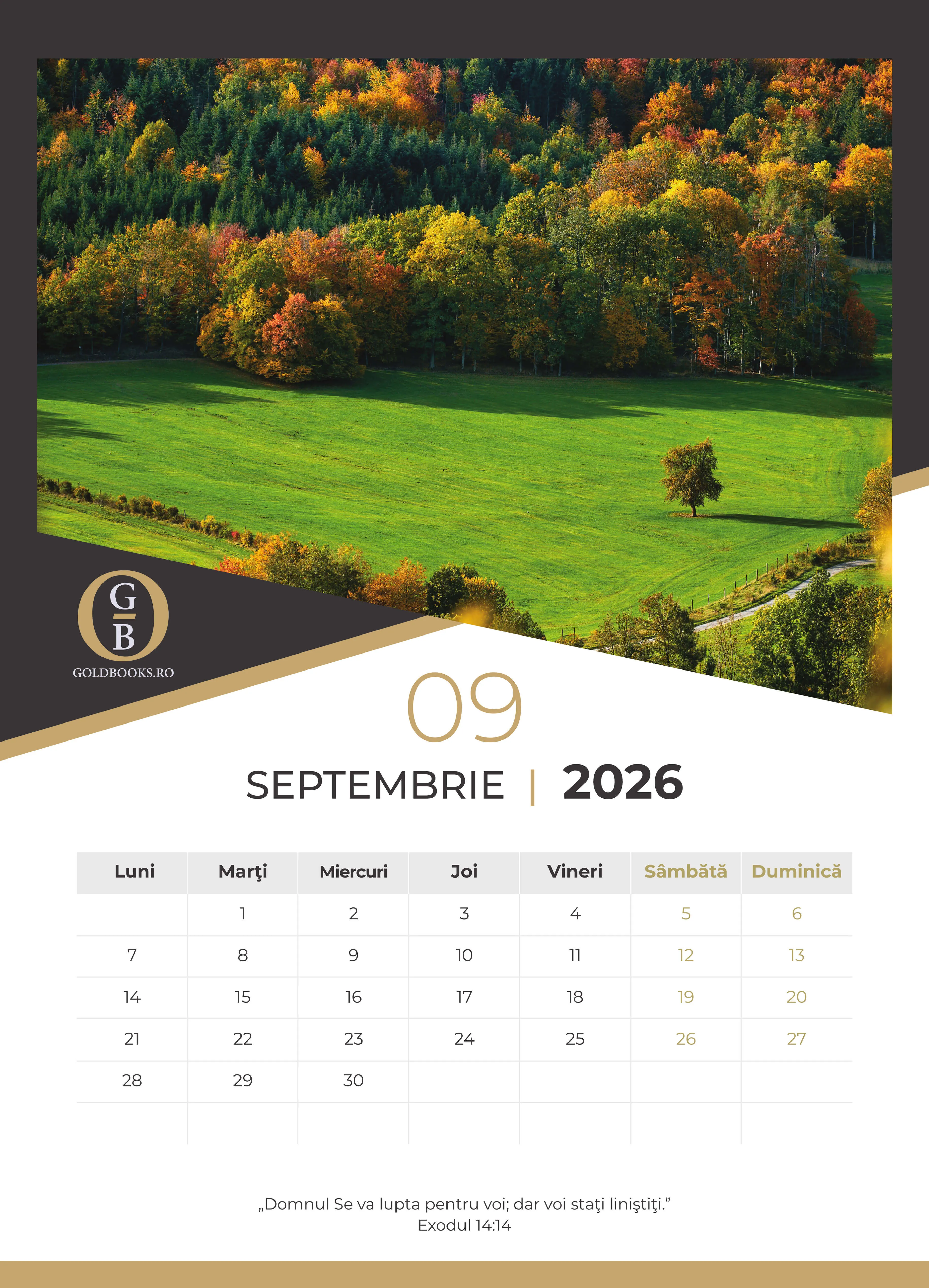 Calendar A3 GoldBooks