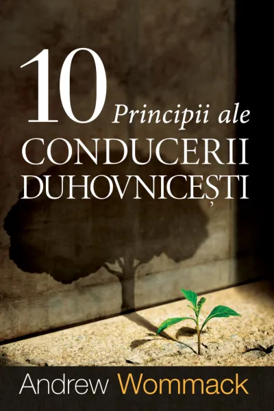 10 principii ale conducerii duhovnicești