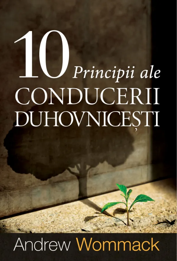 10 principii ale conducerii duhovnicești