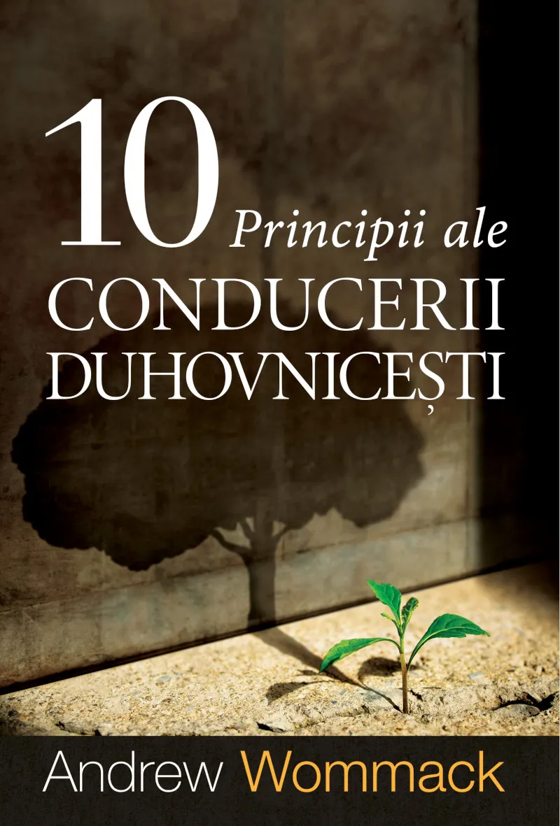 10 principii ale conducerii duhovnicești