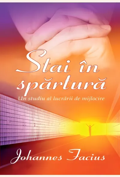 Stai în spărtură: Un studiu al lucrării de mijlocire