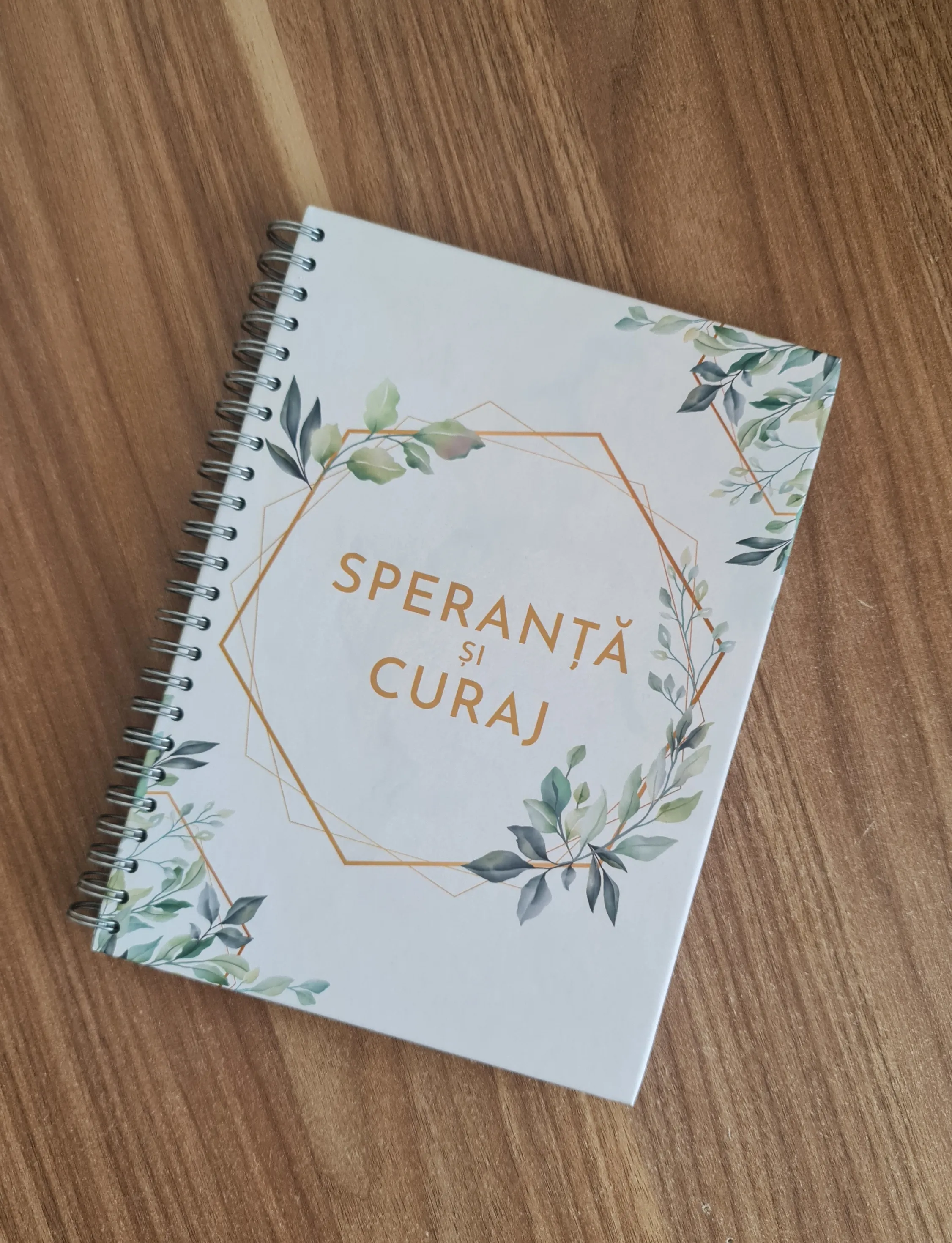 Jurnal - speranta si curaj