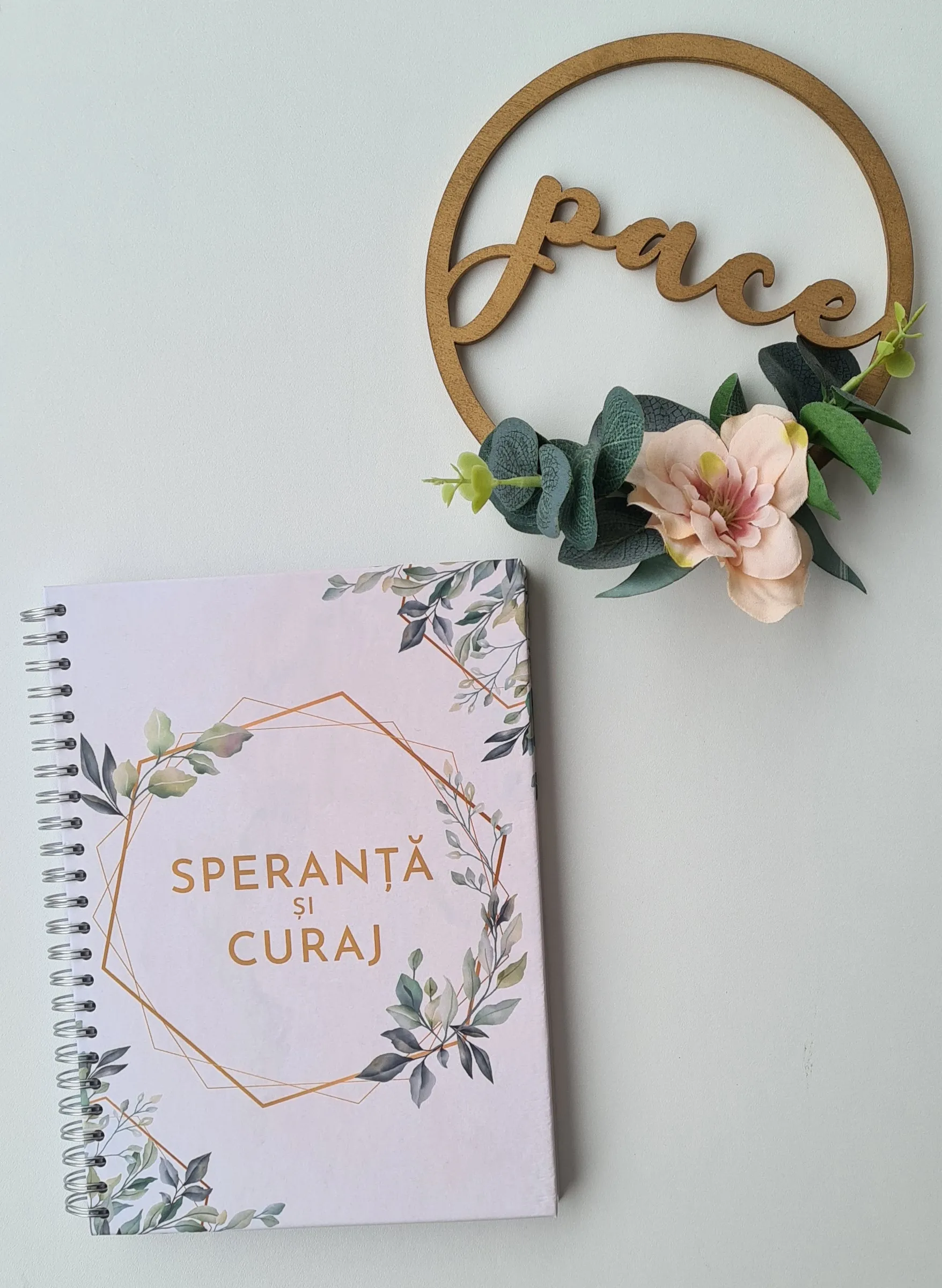 Jurnal - speranta si curaj