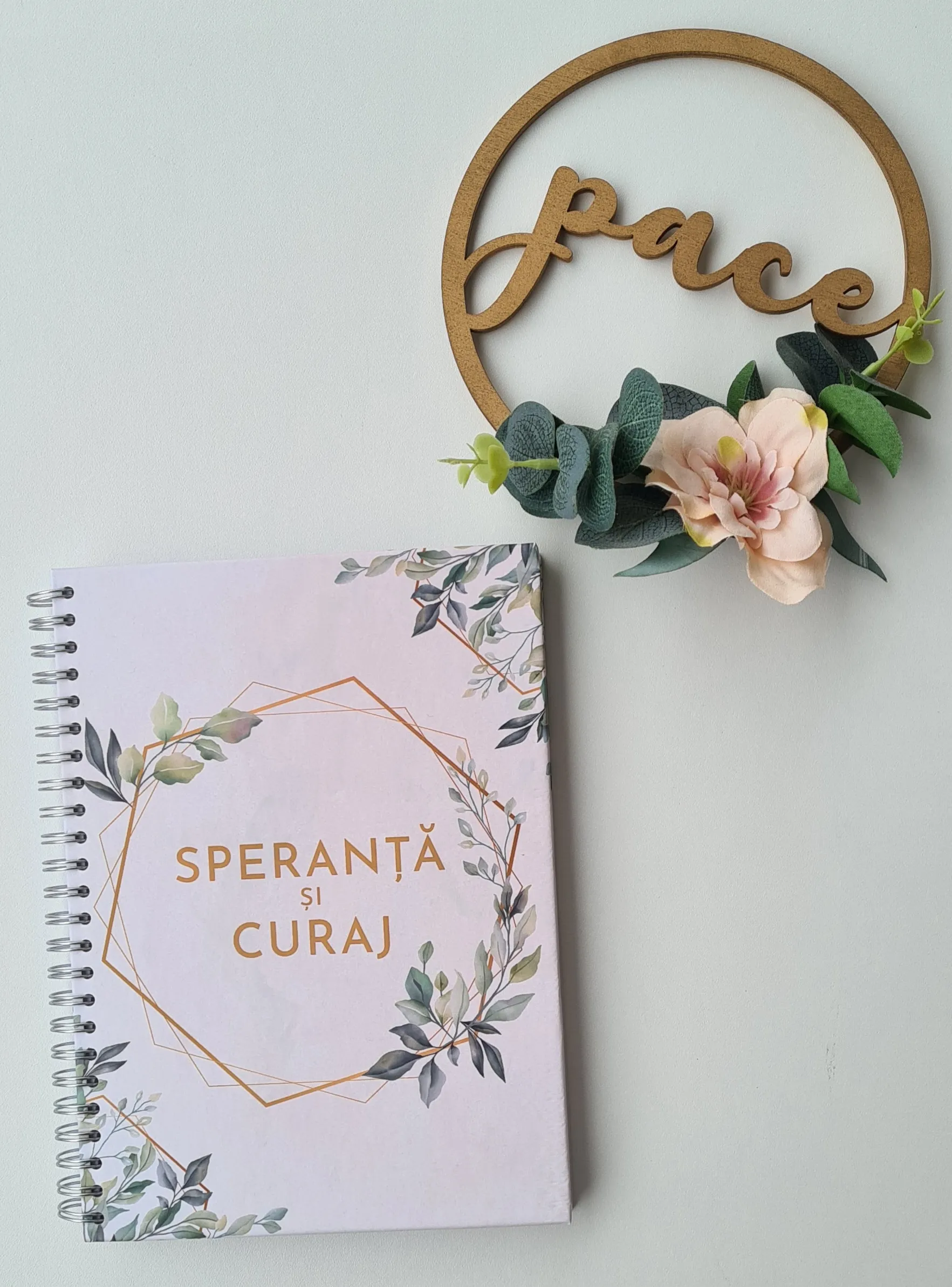 Jurnal - speranta si curaj