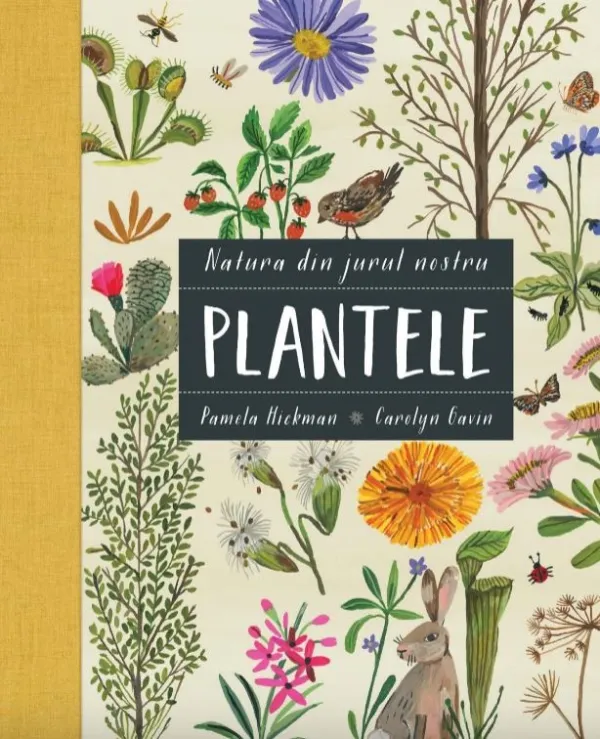 Plantele (seria Natura din jurul nostru)
