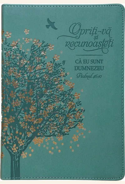 Jurnal: Opriți-vă și recunoașteți că Eu sunt Dumnezeu