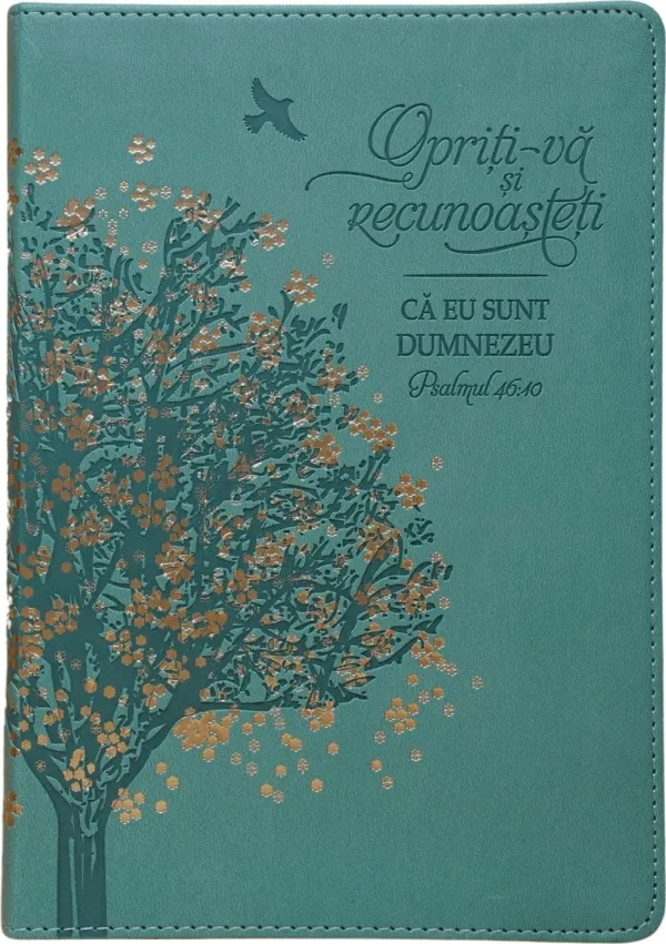 Jurnal: Opriți-vă și recunoașteți că Eu sunt Dumnezeu