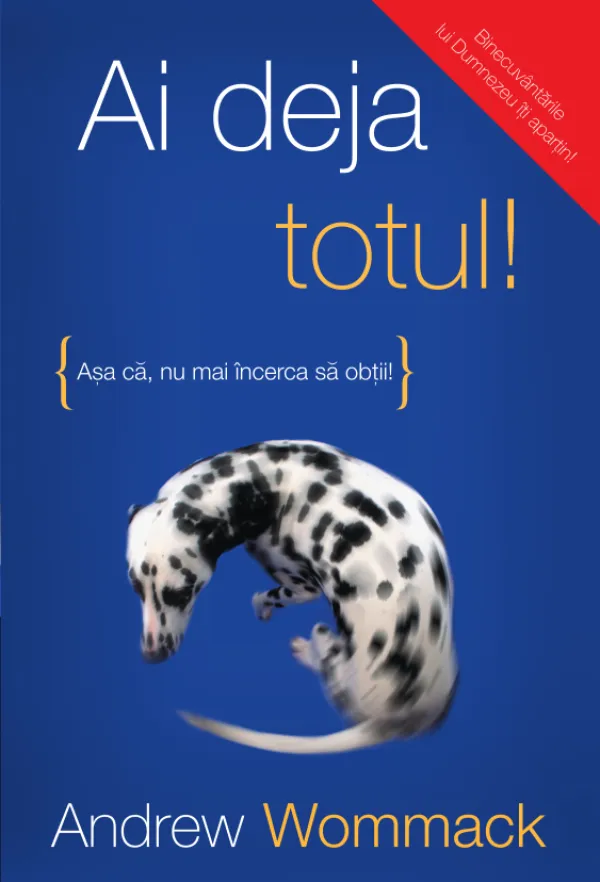 Ai deja totul - eBook