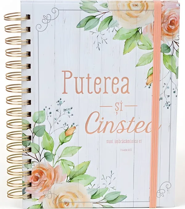 Jurnal Puterea și cinstea sunt îmbrăcămintea ei