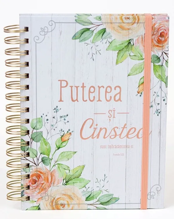 Jurnal Puterea și cinstea sunt îmbrăcămintea ei