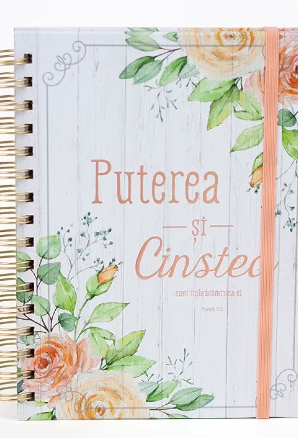 Jurnal Puterea și cinstea sunt îmbrăcămintea ei