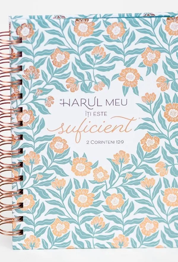 Jurnal Harul Meu iti este suficient