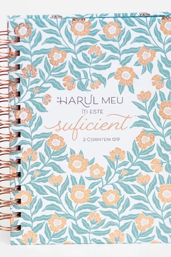Jurnal Harul Meu iti este suficient
