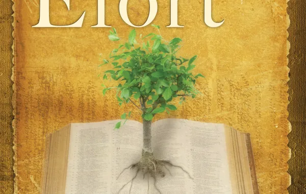 Descoperă liniștea transformării interioare: cheile biblice pentru o viață spirituală fără efort