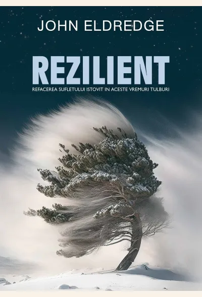 Rezilient. Refacerea sufletului istovit în aceste vremuri tulburi