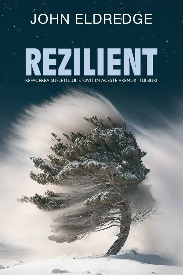Rezilient. Refacerea sufletului istovit în aceste vremuri tulburi