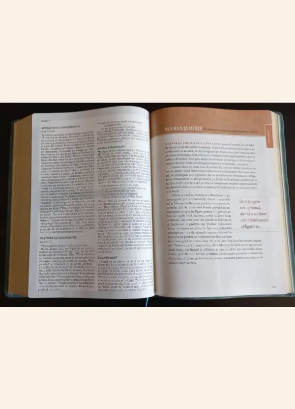 Coperta verso - Biblia - Speranţă în suferinţă – copertă verde închis