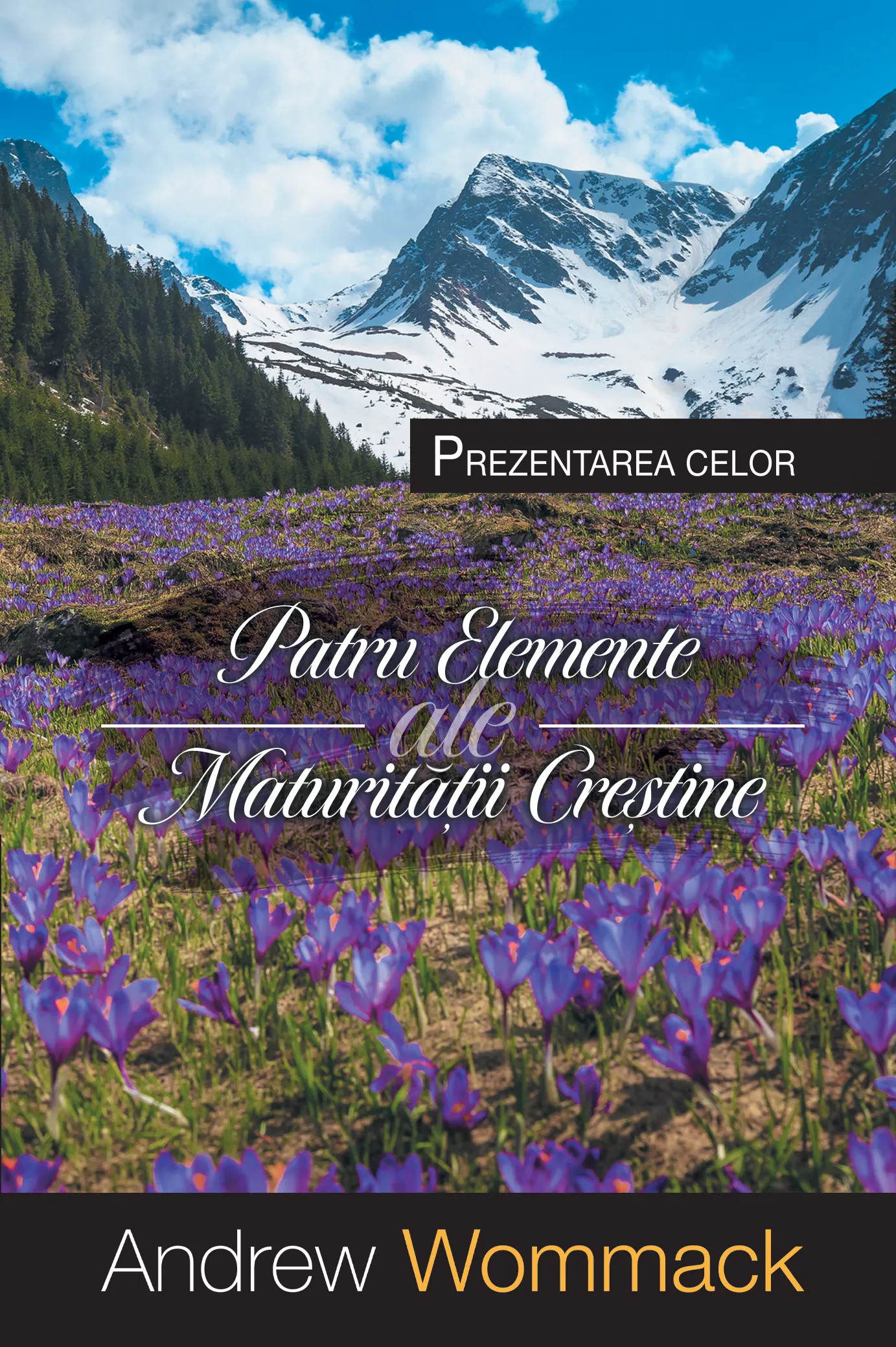 Prezentarea celor patru elemente esențiale ale maturității creștine - eBook