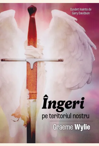 Îngeri pe teritoriul nostru