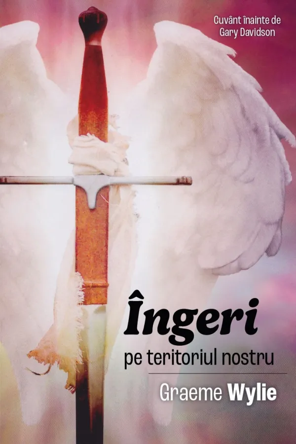 Îngeri pe teritoriul nostru